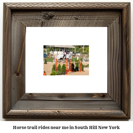 horse trail rides near me in South Hill, New York